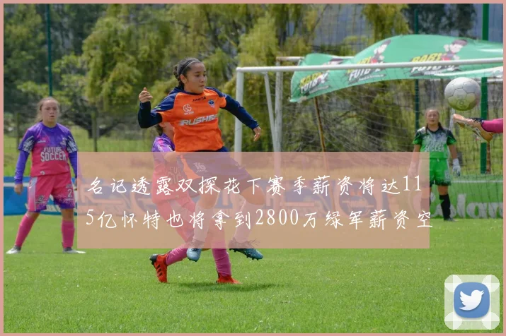 名记透露双探花下赛季薪资将达115亿怀特也将拿到2800万绿军薪资空间依旧紧张